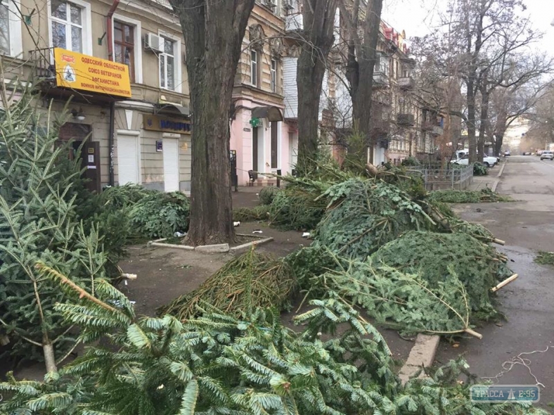 Тысячи елок, не проданных до Нового года, остались валяться на улицах Одессы