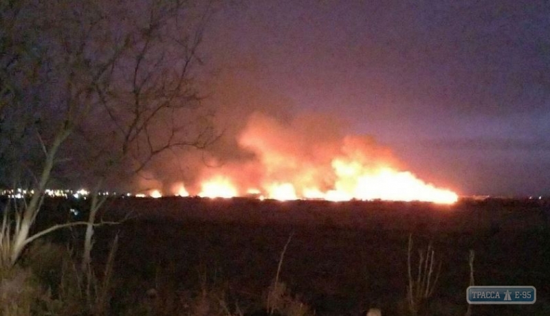 Масштабный пожар охватил национальный парк под Одессой (видео)