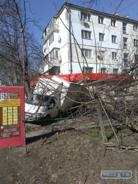 Ураган в Одессе сорвал билборды, повалил деревья и раздавил десятки авто (фото)