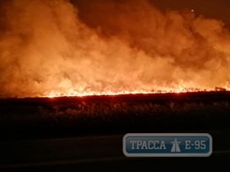 Днестровские плавни горят у трассы Одесса-Рени. Видео