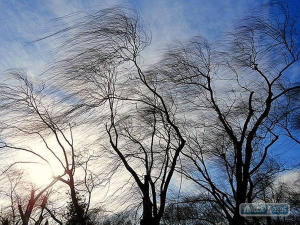 Синоптики: через несколько часов на Одессу обрушится сильный ветер
