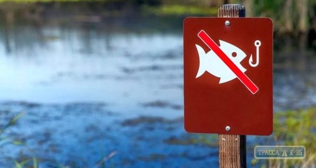 Запрет на рыбалку вводится в Одесской области