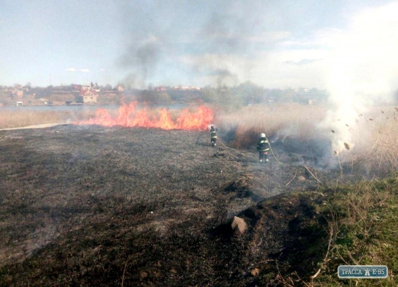 Следователи приступили к поиску поджигателей национального природного парка в Одесской области