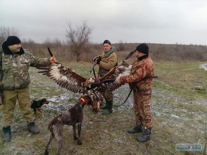 Одесские полицейские сфотографировались с убитым ими краснокнижным орлом