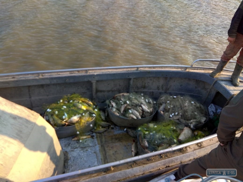 Браконьер в Одесской области перевозил в лодке 300 кг рыбы 