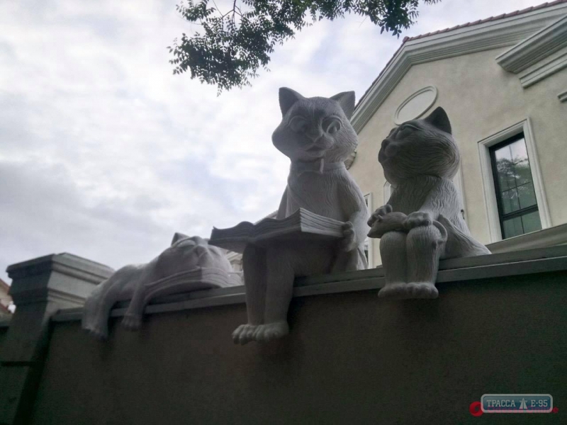 Читающие коты поселились в Одессе на Французском бульваре 