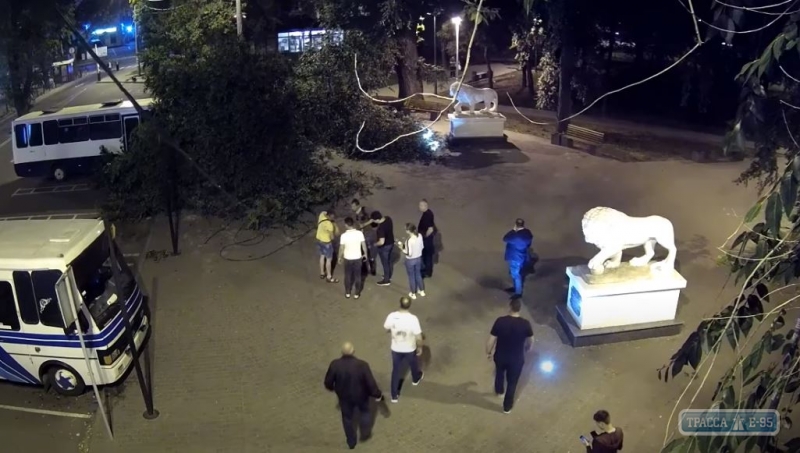Огромная ветка рухнула на парня в Одессе. Видео