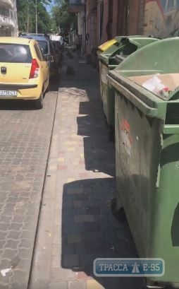 Одесские чиновники спрятали мусорные контейнеры к приезду Зеленского. Видео