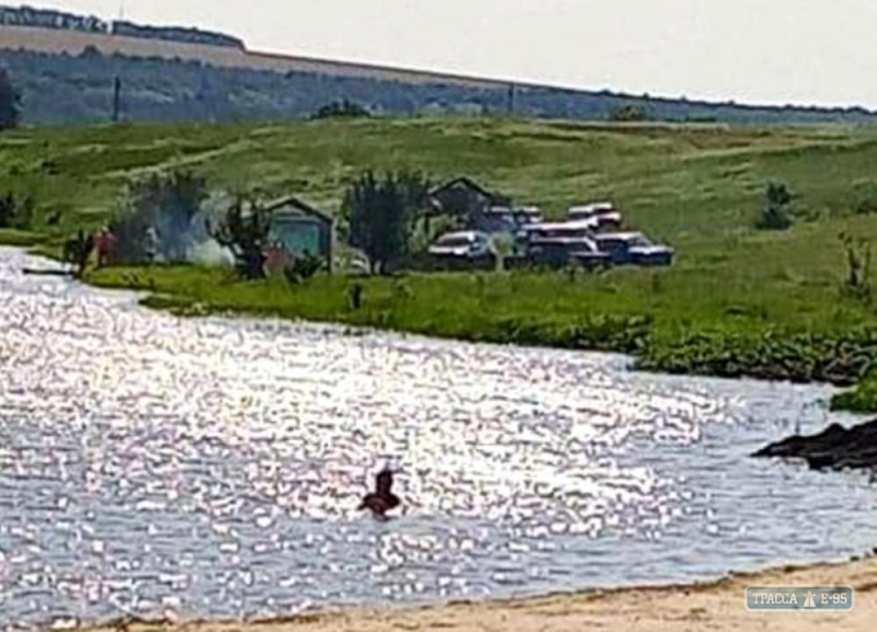 Мужчина утонул в реке в Одесской области