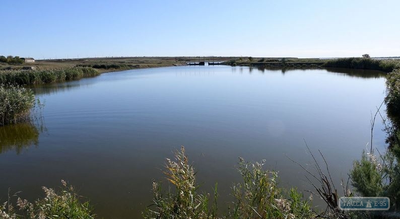 Спасатели обнаружили утопленника в озере Китай в Одесской области 