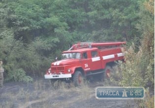 Пожар угрожал Савранскому лесу