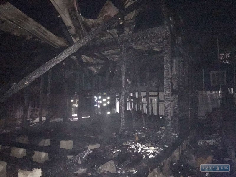 Электромобиль и жилой дом сгорели ночью под Одессой, хозяйка дома погибла 