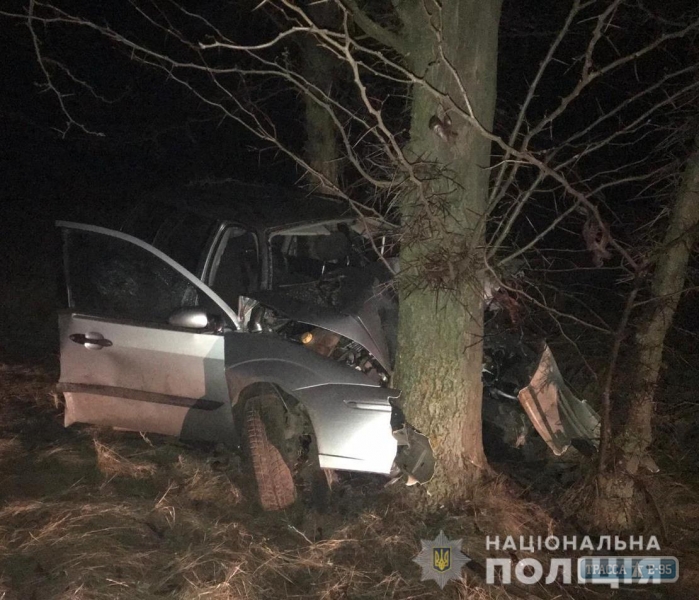 Автомобиль въехал в дерево на трассе Сарата-Фараоновка, погиб человек