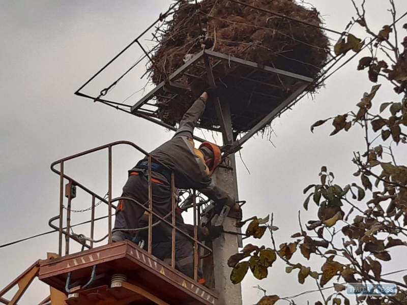 26 платформ для гнезд аистов появились на столбах в Одесской области