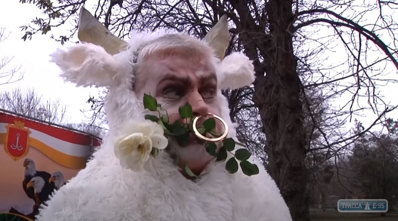 Одесский зоопарк выпустил традиционный новогодний клип