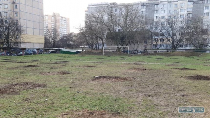 Неизвестные ночью выкопали более 100 деревьев в Одессе. ОБНОВЛЕНО