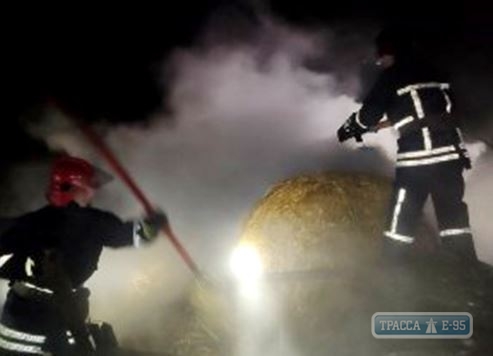 15 тонн сена сгорели в Одесской области
