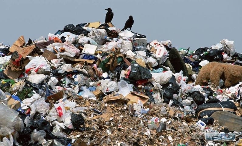 Одесская ОГА решила бороться с мусорными свалками
