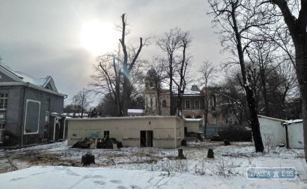 Застройщик начал сносить деревья на Даче Маразли в Одессе