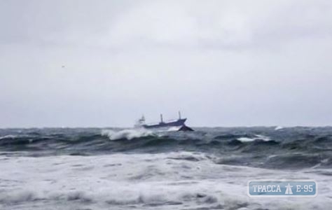 Украинские моряки, спасенные в Турции, прибыли в Одессу