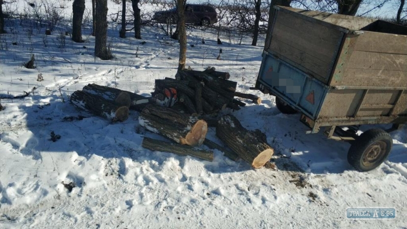 Пограничники обнаружили «черных» лесорубов в Одесской области, которые сожгли свой автомобиль