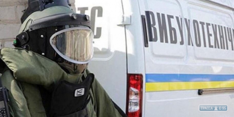 Полиция только к утру завершила проверку 373 «заминированных» школ и детсадов Одессы