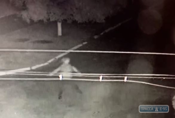 Гранаты взорвались во дворах двух фермеров в Одесской области. Видео