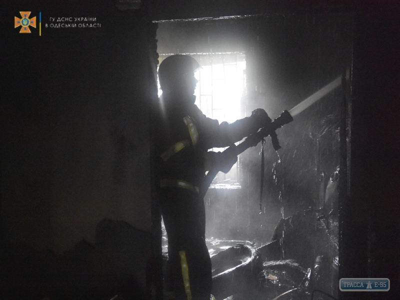 Пожарные спасли от огня жилой дом под Одессой (фото)