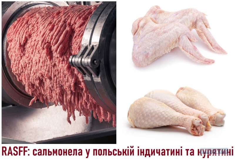 Специалисты предупреждают о сальмонелле в мясе птицы: может встретиться на одесских прилавках