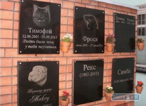 Крематорий для животных появится в Одессе не ранее 2022 года