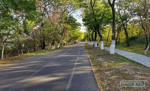 Власти Одессы решили благоустроить спуск к Трассе здоровья