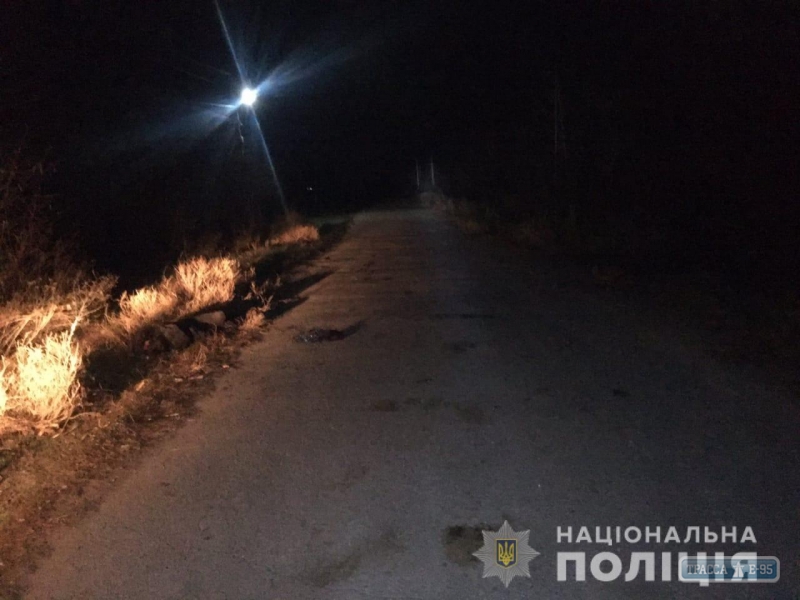 Полицейские разыскивают в Одесской области водителя, скрывшегося с места смертельного ДТП 