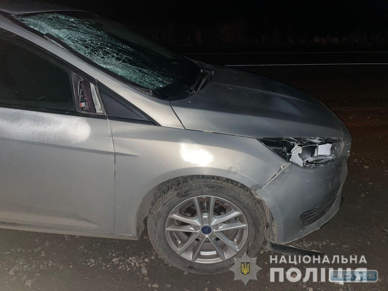 Пешеход погиб на трассе Одесса-Рени