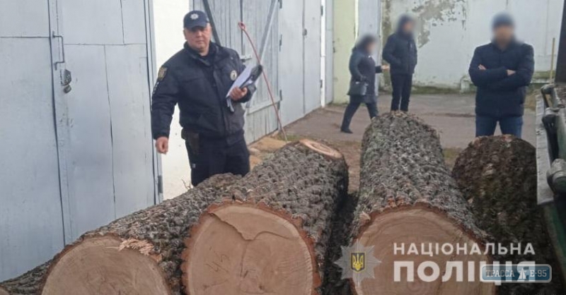 Жители севера Одесской области незаконно рубят деревья