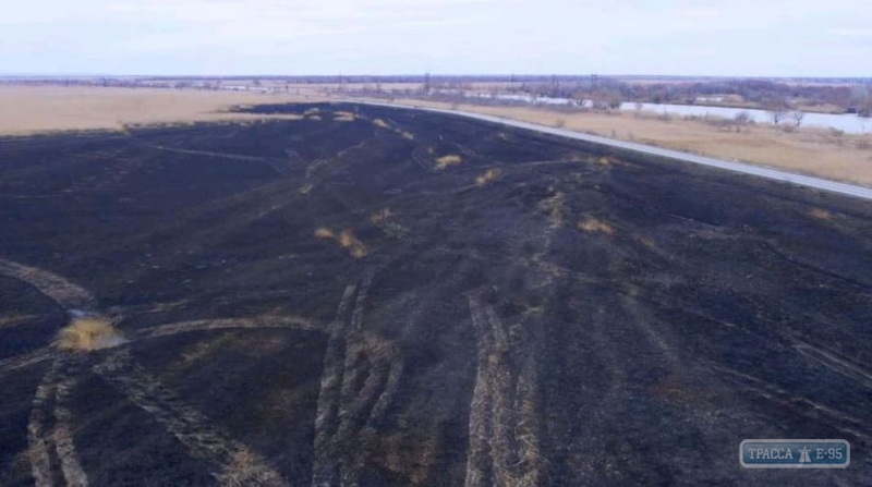 Национальный парк в Одесской области определил ущерб от пожара