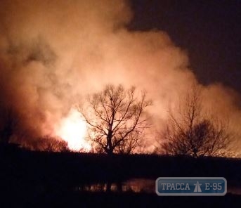 Масштабный пожар снова разгорелся в плавнях у села Маяки Одесской области. Видео. ОБНОВЛЕНО