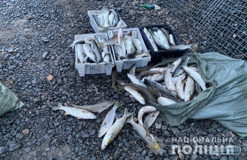 Браконьер выловил за ночь 200 кг рыбы под Одессой