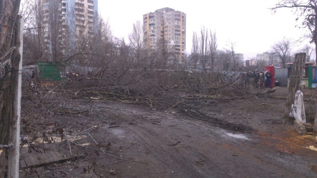 Неизвестные срубили две сотни деревьев на поселке Котовского в Одессе (фото)