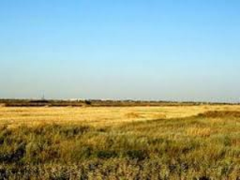 Прокуратура вернула Министерству обороны участок земли на Одесщине стоимостью 25 млн. грн. 