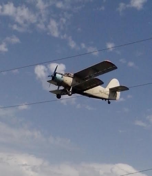 Самолет влетел в линию электропередач в Березовском районе Одесщины (фото)