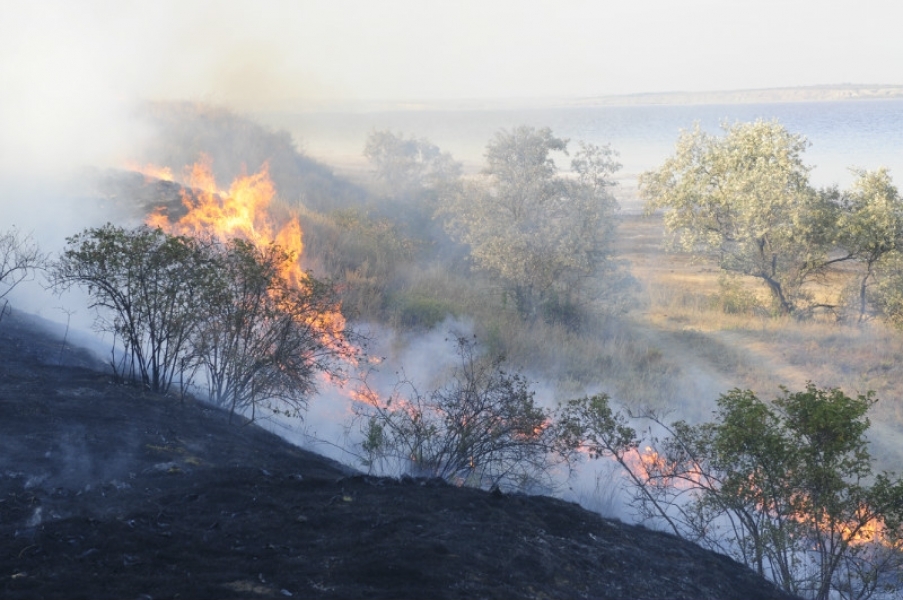Пожары губят природный парк 