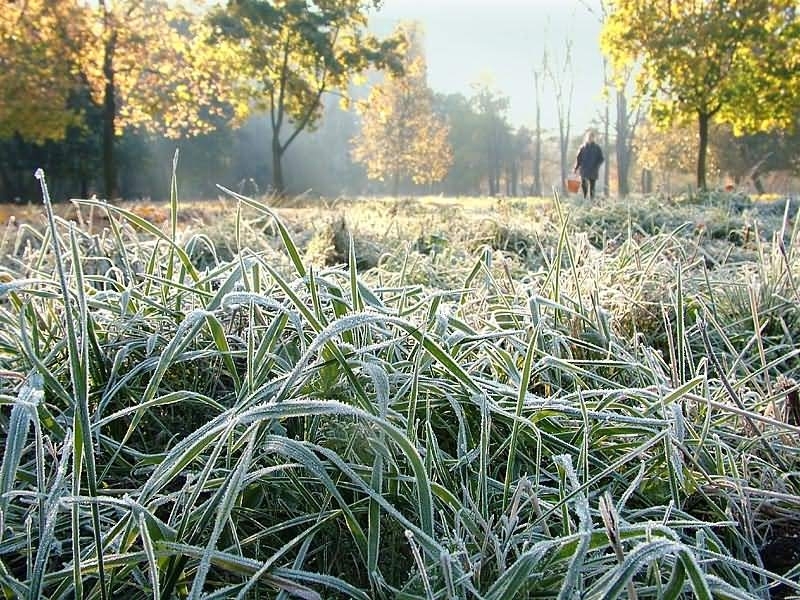 Жители Ананьевского района Одесщины заметили первые заморозки