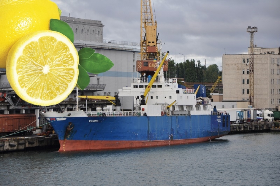 Цитрусовые в Одессу из Турции будет доставлять всего одно судно