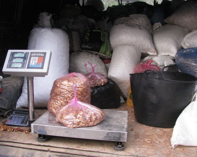 Ажиотажный спрос на орехи наблюдается в северных районах Одесской области
