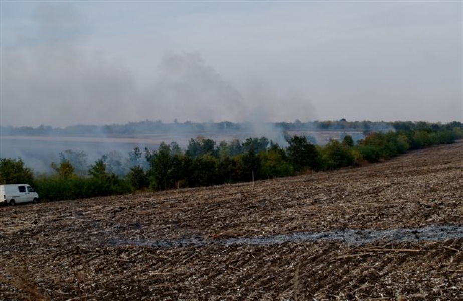 На севере Одесской области горят степи и поля (фото)