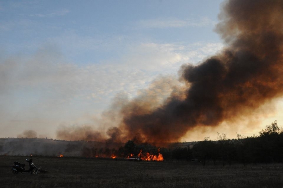 Спасатели потушили масштабный пожар в камышах и спасли от огня заповедную территорию на Одесщине
