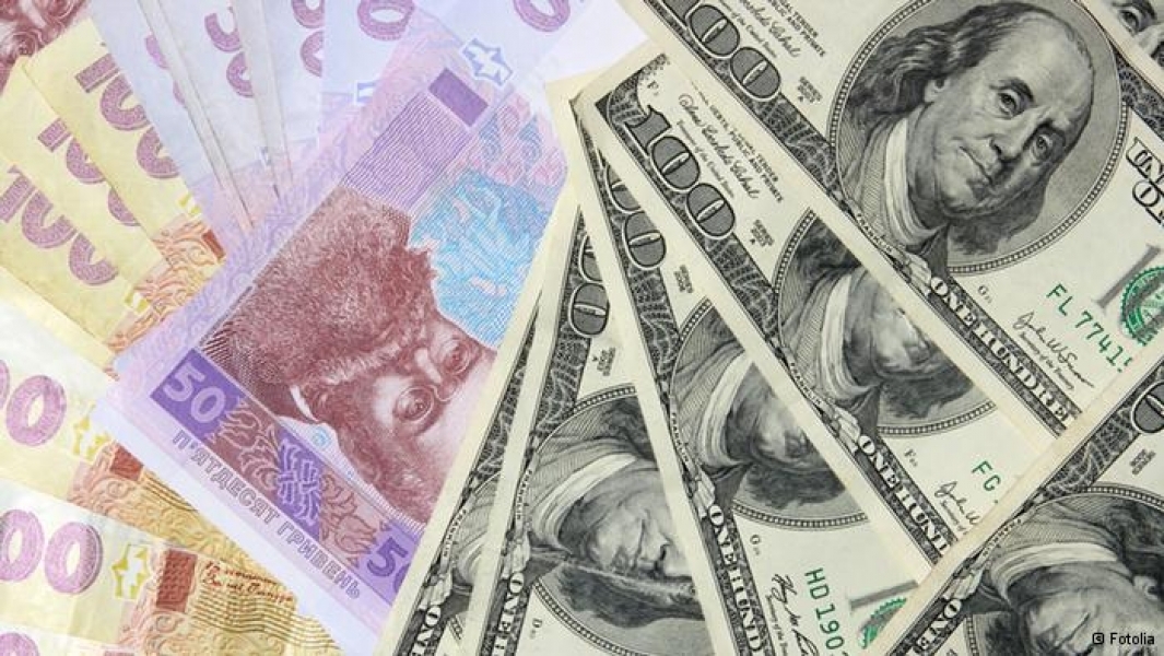 Власть может обвалить доллар до 25 гривен - экс-вице-премьер