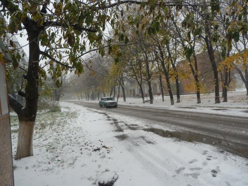 Первый снег выпал на севере Одесской области (фото)