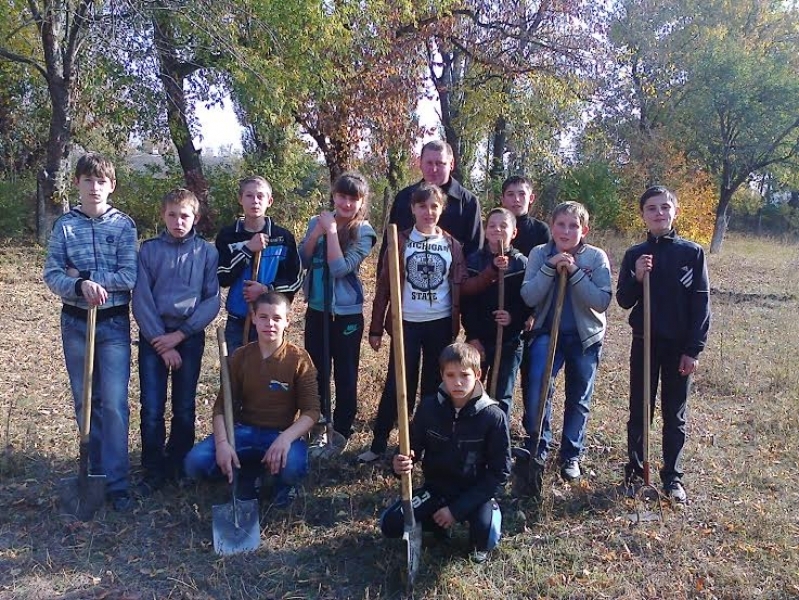 Неизвестные уничтожили молодые деревья, высаженные школьниками на севере Одесщины (фото)