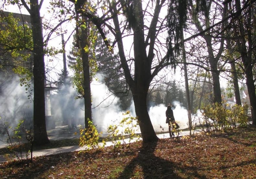 Власти Ананьева начали борьбу с несанкционированным сжиганием листьев (фото)
